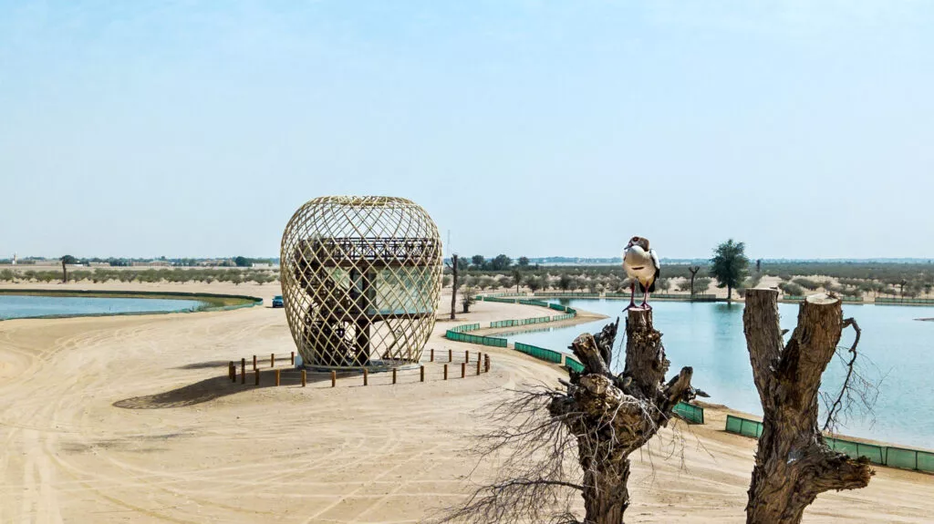Ras Al Khor Sanctuary AE7 Ras Al Khor Sanctuary AE7